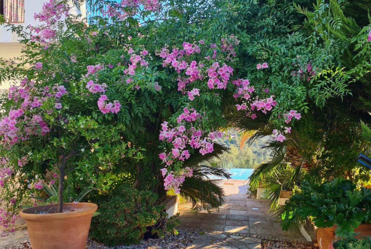 Cortijo La Haza Bed & Breakfast Iznajar Exterior photo